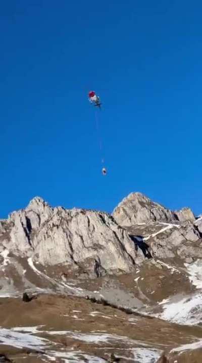 Cow rescued in Swiss alps
