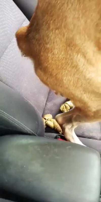 Just let it happen..