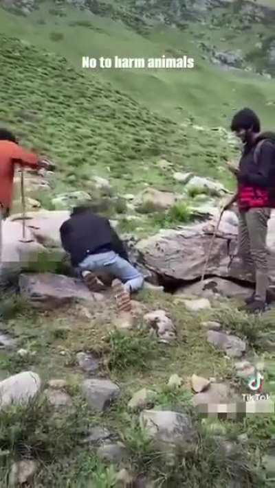 Please be kind to wildlife when visiting places. 