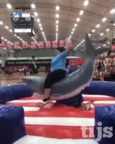 HMC while I ride this shark