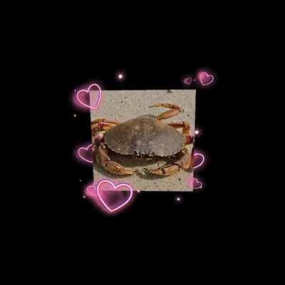 Crab ☺️☺️☺️☺️☺️☺️☺️☺️😊😊😊☺️😊
