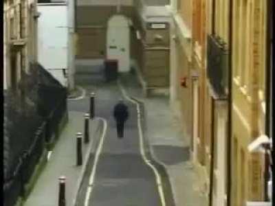 What a peaceful day today! Maybe I should've go for a walk perhaps?