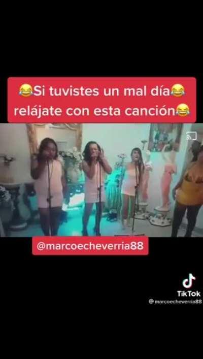 Los mods tenemos un grupo musical. Les presento nuestro más reciente éxito.