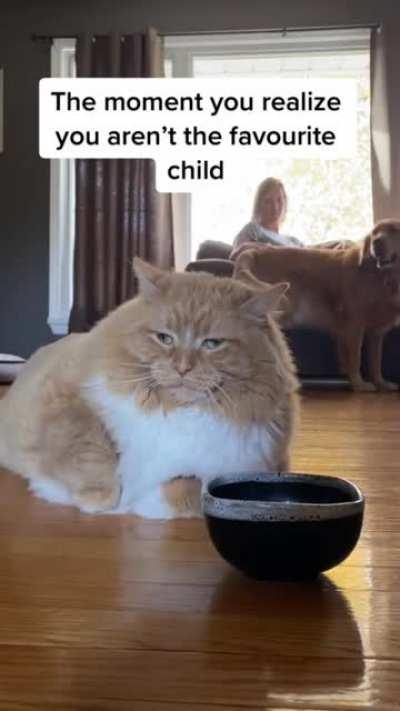 Bitter disappointment