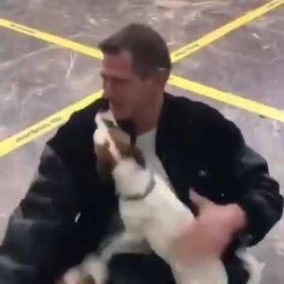 Puppers so excited to see their dad