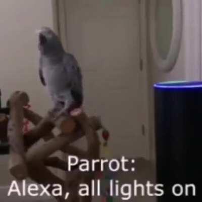 Alexa, turn the lights on