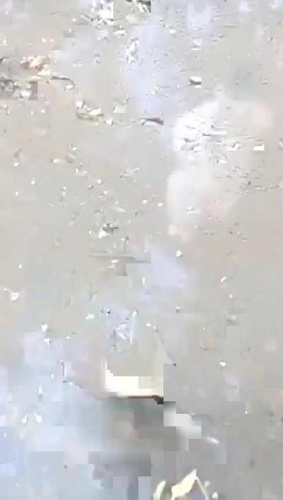 JOIN ME BROTHERS, JOIN IN THE GLORIOUS DANCE!