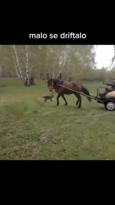 BOSSnia burek drift 😎