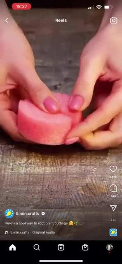 Usually i hate 5 minute crafts…. BUT THIS??????? I dont hate this