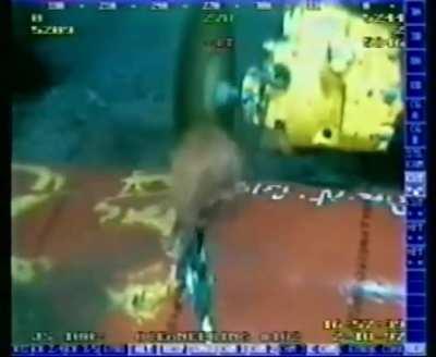 I feel this could be used. If it should be marked NSFW just let me know.