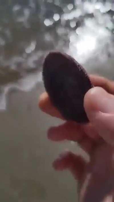 The ocean is a world of mysteries!