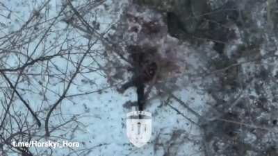 Fatal drone dropped grenade strikes on multiple Russian soldiers in the woods. Video by Horskyi Hora.