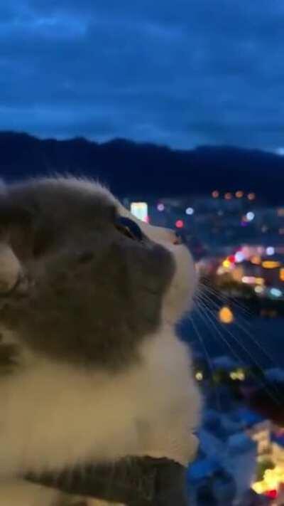 When Your Assistant Manager Of 26 Years Retires