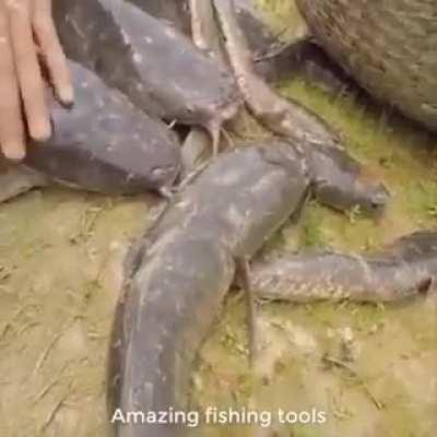 Fishing using snake