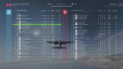 Fell in love with the big birds