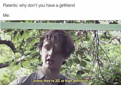 Why would I need a girlfriend when I have zero two body pillow