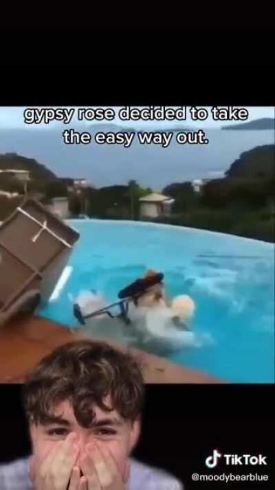 Lmao why did she save the chair???