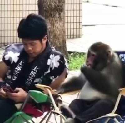 You've got a friend in me