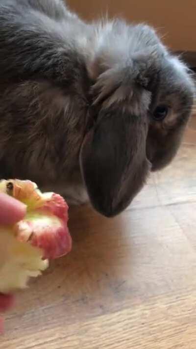 crunch crunch crunch