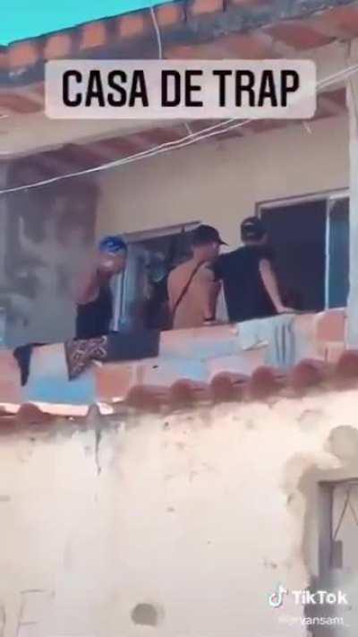 verdadeira musica de cria