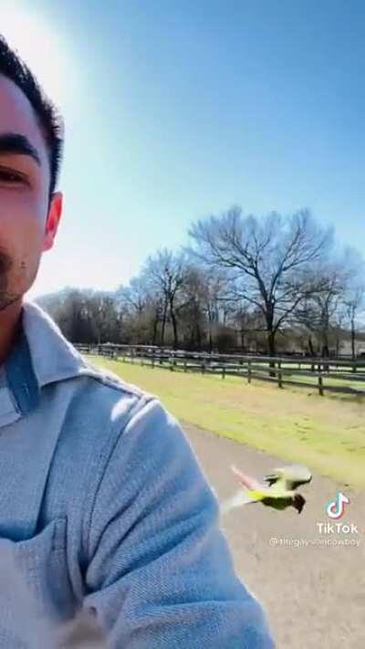 What a happy bird and a great owner, this made me smile