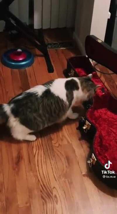 He's acting like he's getting shocked by something