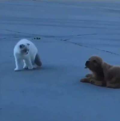 Just act all natural like