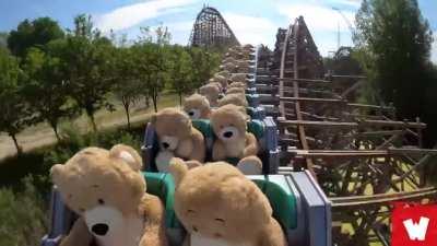 Somewhere in a parallel dimension...