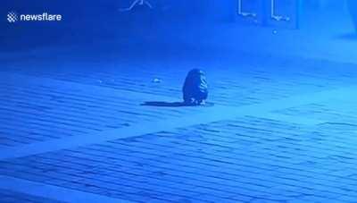 He thought he was in the clear until...