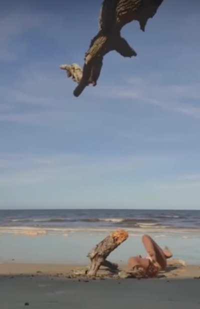 WCGW climbing a rotten tree.