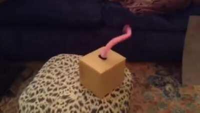 Hentai Creators Take notes..