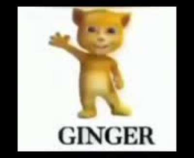 Ginger!!!1!!111!111!!!!!!!