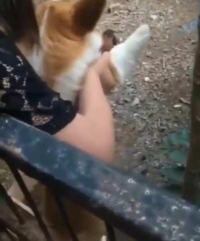 You 2 have no idea how lucky you are this fence is here.