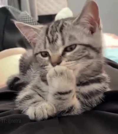 The one who can take your girl away