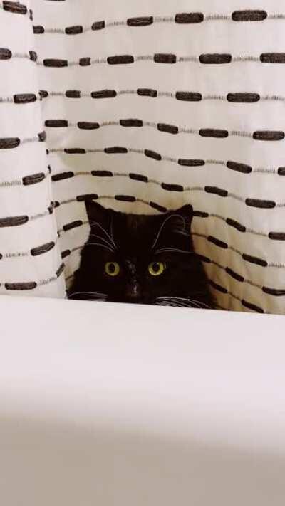 I was told this would go over well here.