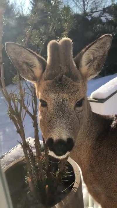 What? Can’t you see I’m busy?