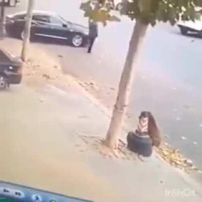 Better luck next time, Mr. Pig