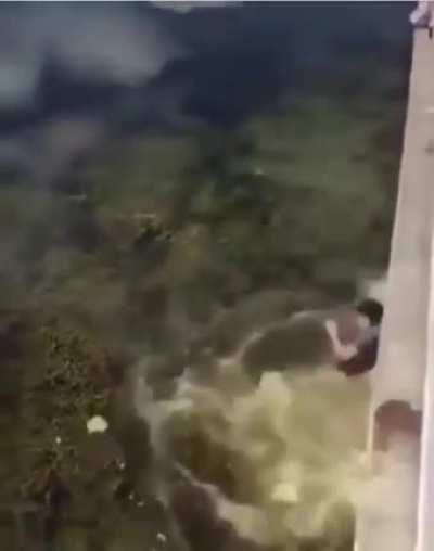 Definitely thought that was the sky and treetops...