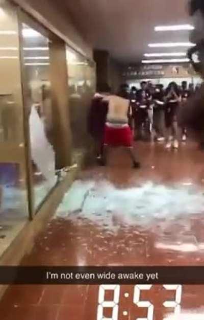 Fat niggas fighting over food