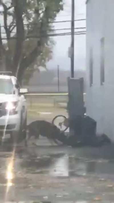 Yeah punch the responder cop in the face what could possibly go wrong?