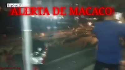 ⚠️⚠️⚠️⚠️⚠️⚠️