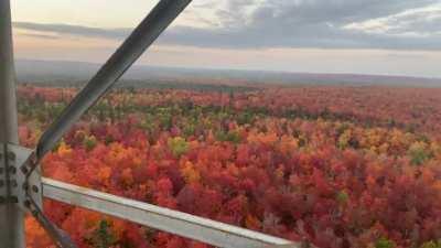 Fall colors in Minnesota at sunset [OC]