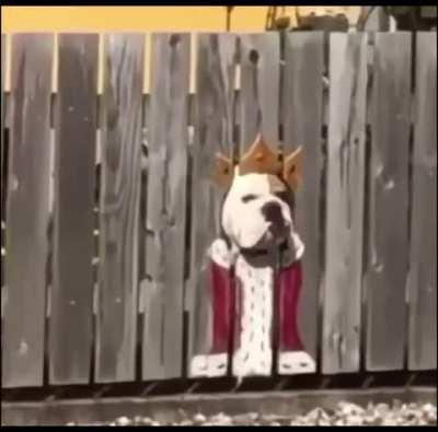 Everyone in the neighborhood knows him like that...