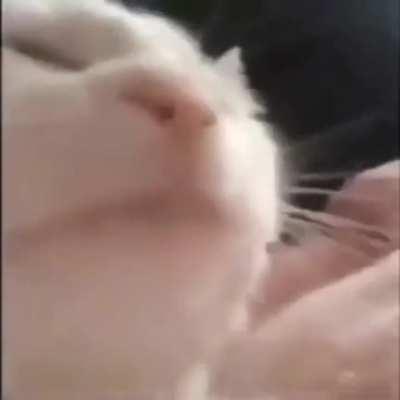 Just vibing to Cammy's SFV Theme