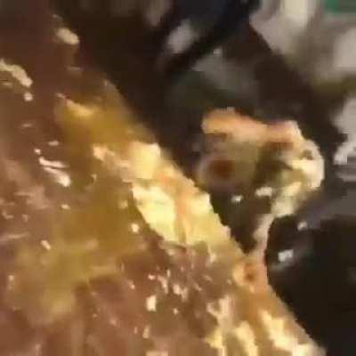 Antes,coitado do muleke,agora qual e o nome da musica