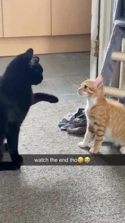 He struck as soon as the enemy got distracted