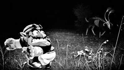 Wario has a horrific encounter with a stag-demon in the Black Forest, Germany, and presumably dies.mp4