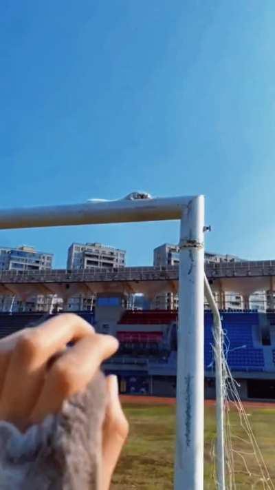 When the whole family trusts you