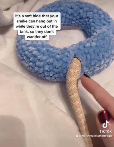 Marshmallow tries out his donut house