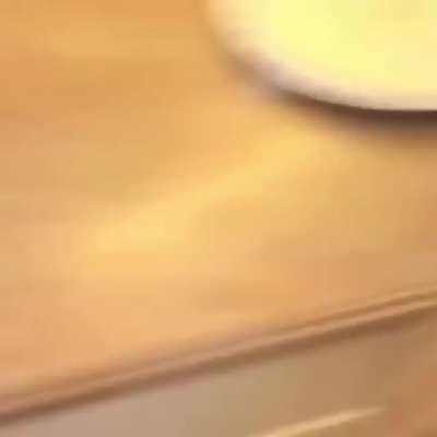 What should I do today?